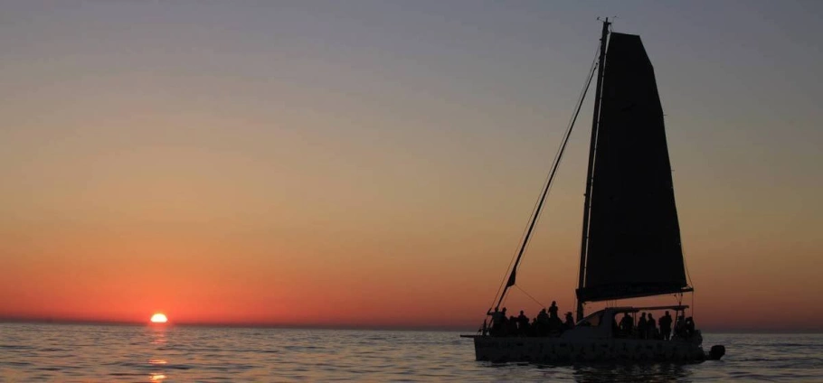 Champagne Catamaran Cruise and Dinner in Cape Town-3